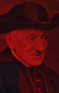 Cardinal Newman