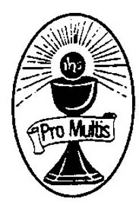 Pro Multis