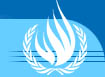 UN Human Rights Committee Logo