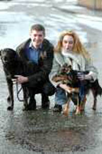 Dog Matrimony