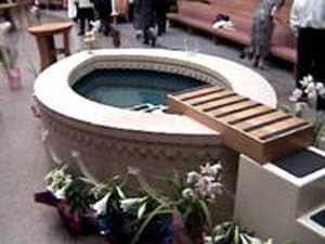 Novus Ordo Baptismal Pool