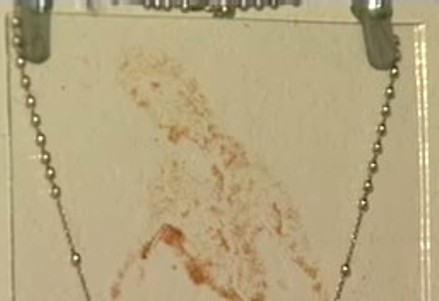 Mary in a Salsa Stain