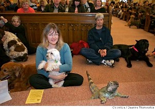 Image result for church of england considers animal baptism