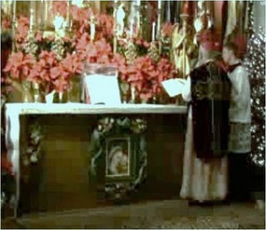 Holy Innocents in Violet Vestments