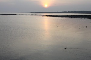 Papa Stronsay Island