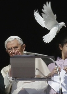 Seagull Attacks Benedict-Ratzinger