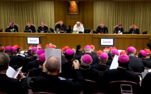 Extraordinary Synod