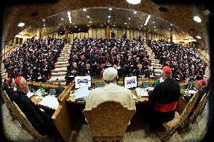 Extraordinary Synod
