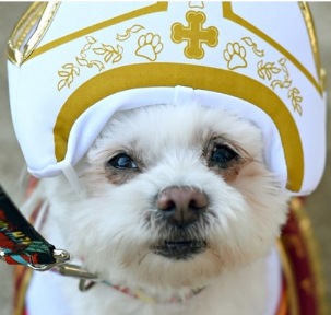 Dog as Newpope
