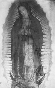Virgin of Guadalupe First 
Photograph