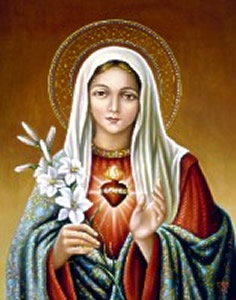 Mary Immaculate