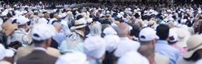 Neo-SSPX Laity